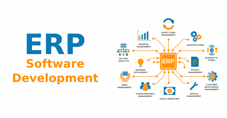 ERP software development